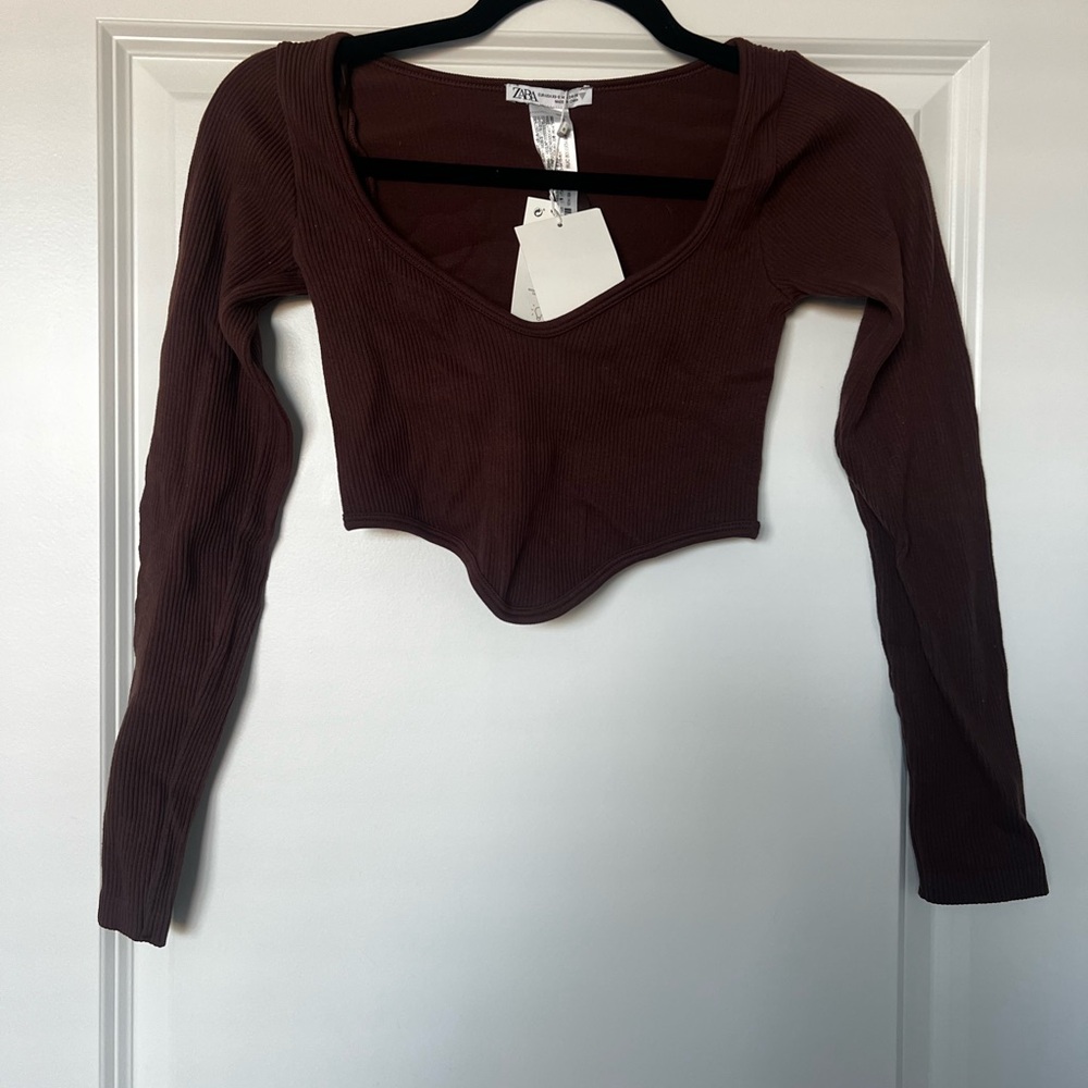 Zara Chocolate Brown Long Sleeve Crop Top